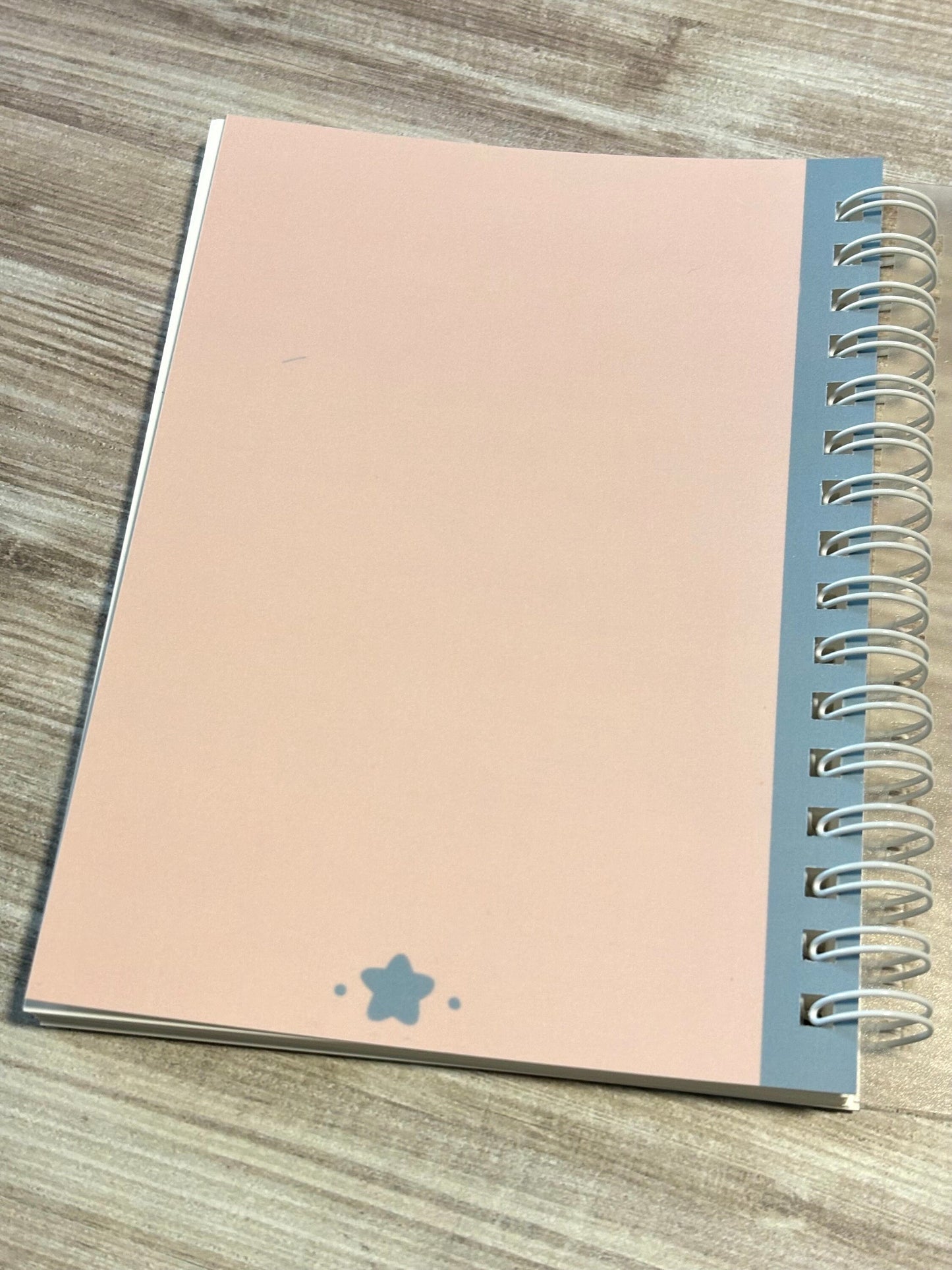 Reusable Sticker Book | A6 Artist Alley Passport